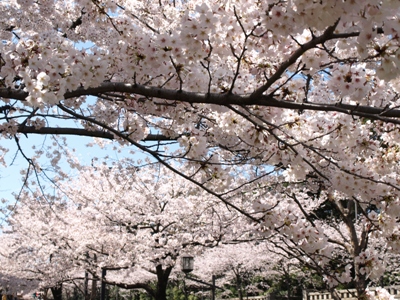 c0102268_1451986.jpg