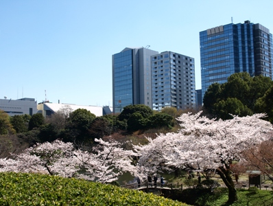 c0102268_1473219.jpg