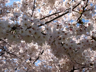 c0102268_1485949.jpg