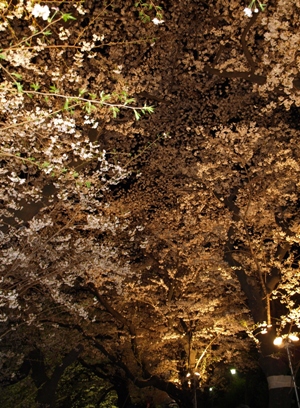 c0102268_1504733.jpg