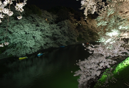 c0102268_151319.jpg