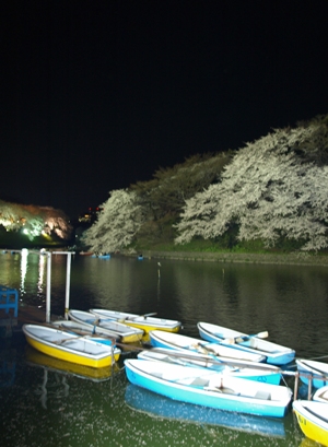 c0102268_152777.jpg