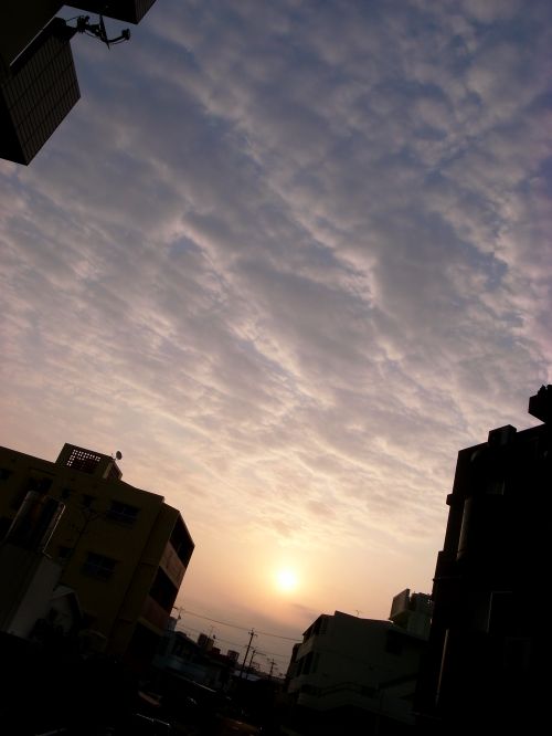 c0132571_21173145.jpg