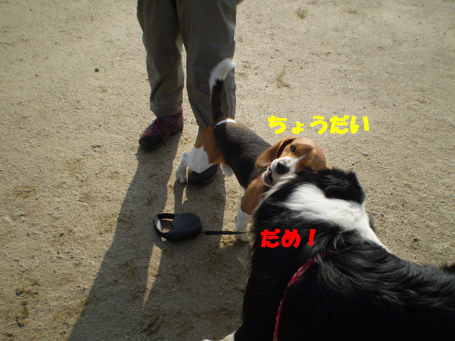 e0117976_22155962.jpg