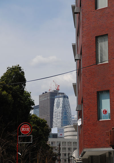 c0009981_44866.jpg