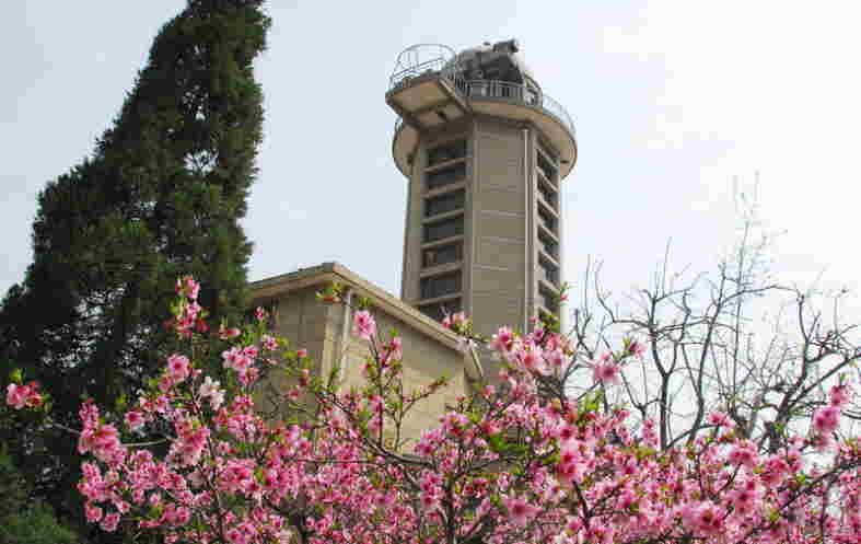 e0094583_2056766.jpg