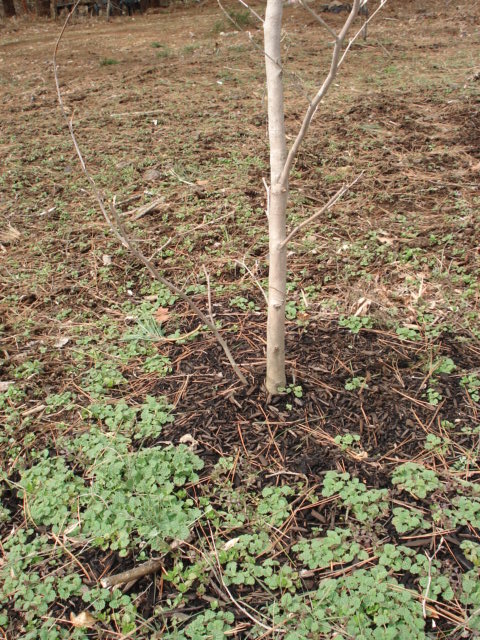 c0119385_19112281.jpg