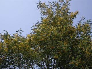f0143386_1359228.jpg