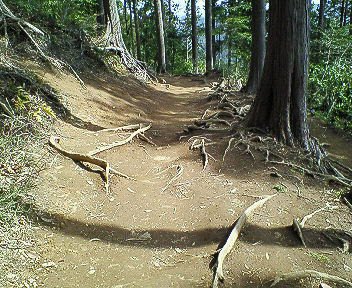 c0014187_2212599.jpg