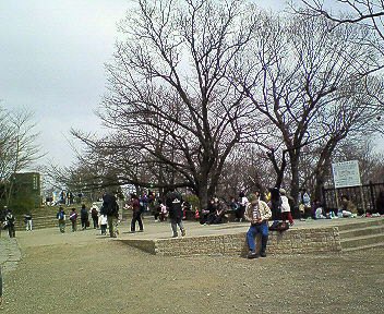 c0014187_2283616.jpg