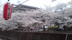 c0068090_14233547.jpg