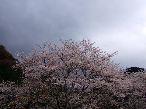 b0104592_17272221.jpg