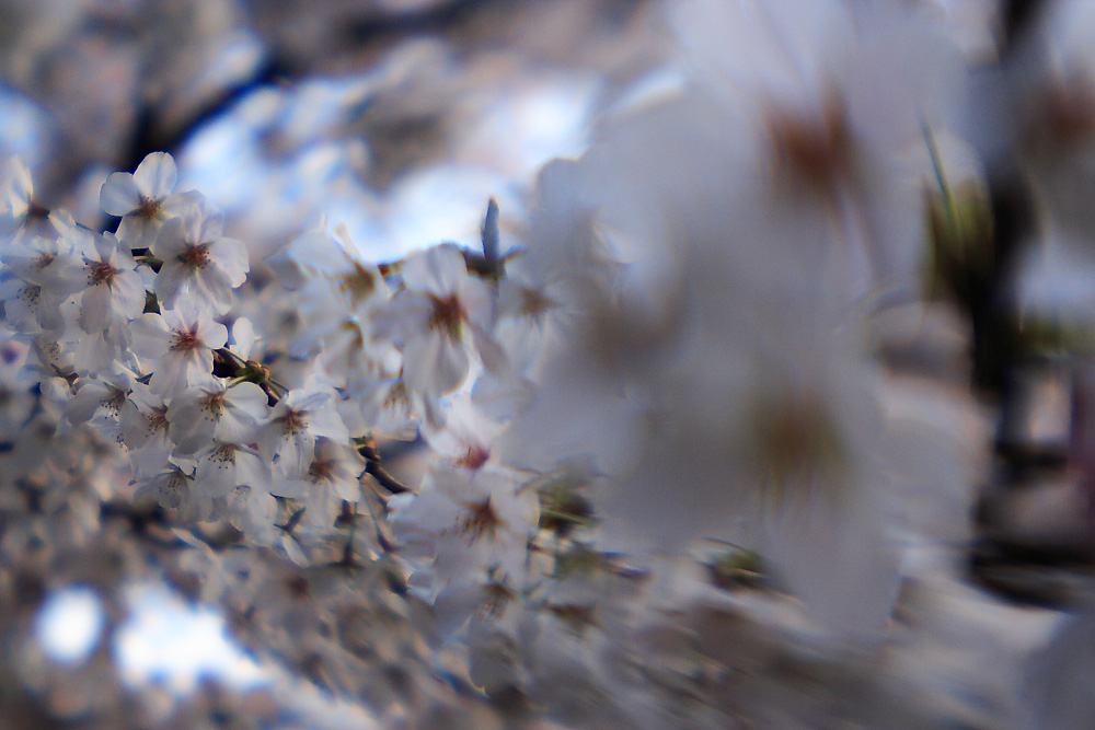 c0032494_646216.jpg