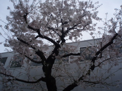 c0086895_22373198.jpg