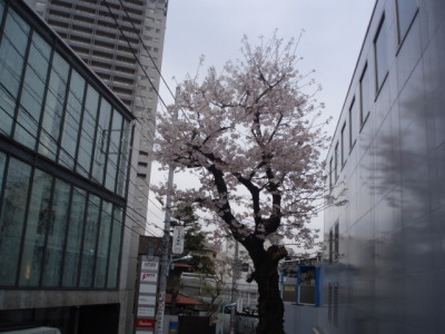 c0086895_22384986.jpg