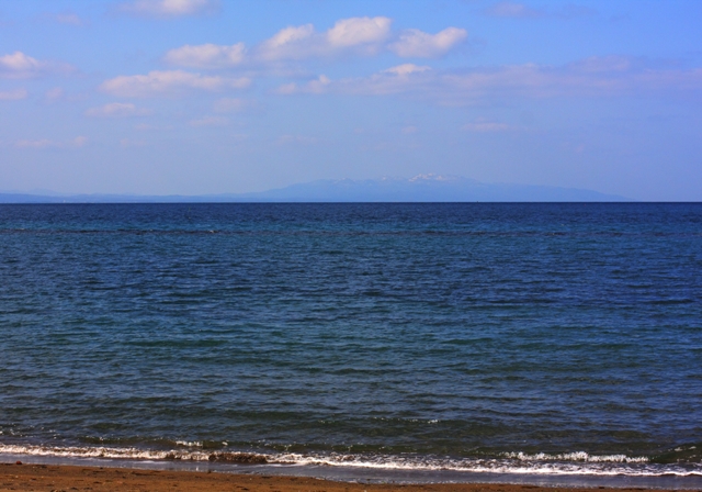 c0118496_553926.jpg