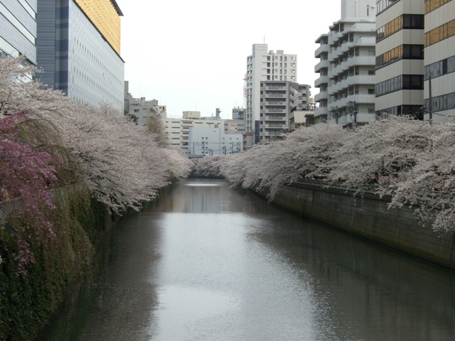 f0098697_22132492.jpg
