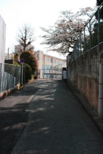 c0129498_13154053.jpg