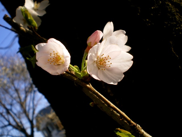 a0023500_2024484.jpg