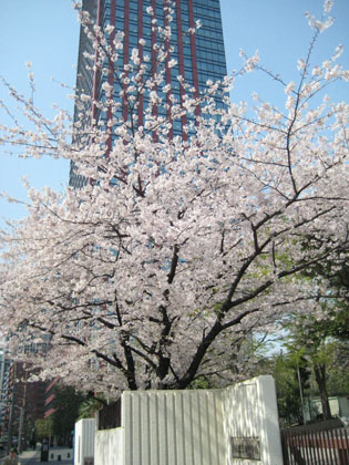b0097200_107040.jpg