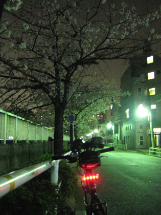 b0097200_22325357.jpg