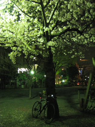 b0097200_22344849.jpg