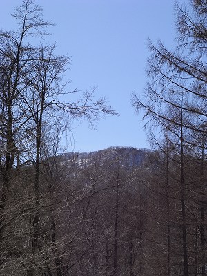 f0157901_1874317.jpg