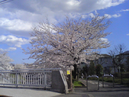 f0052603_1139223.jpg