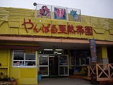 e0021004_23103378.jpg