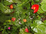 e0021004_231646.jpg