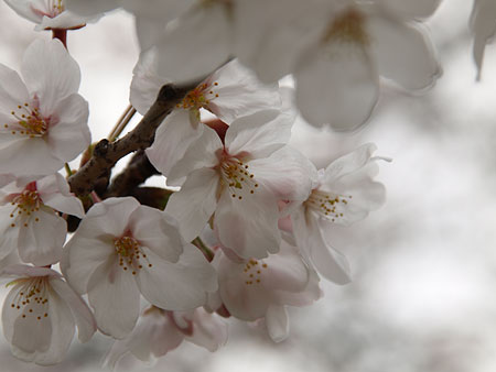 a0041508_054029.jpg