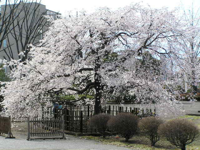 b0129008_16191266.jpg