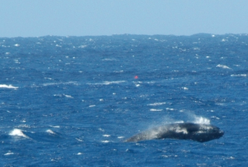 c0127909_1804935.jpg