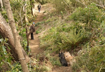 e0078510_22393479.jpg