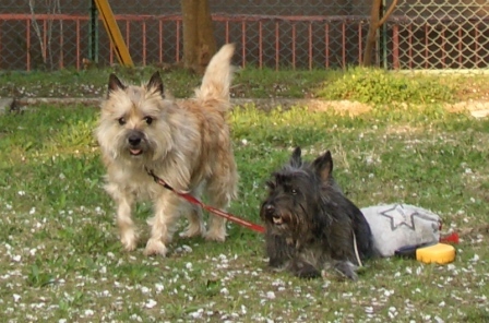 e0078510_23281525.jpg