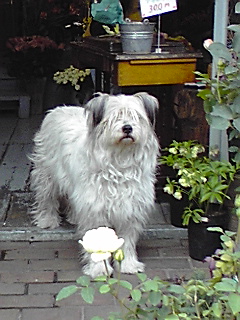 f0049813_23495521.jpg