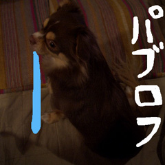 c0036617_0211534.jpg