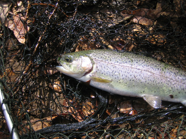 e0063923_0294811.jpg
