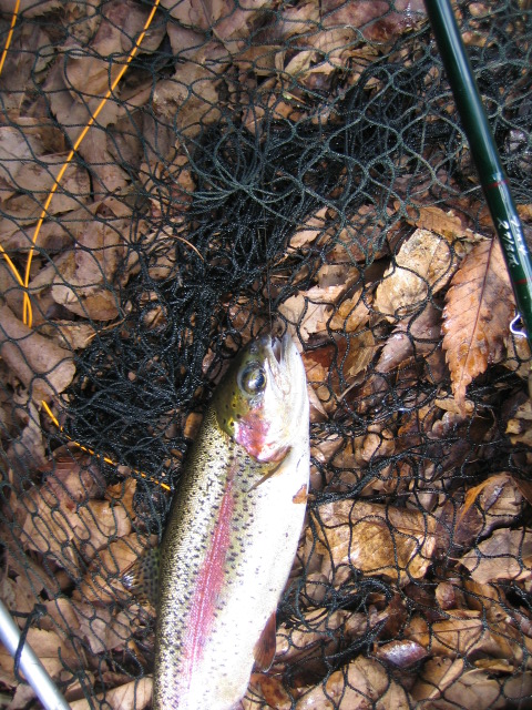 e0063923_030525.jpg