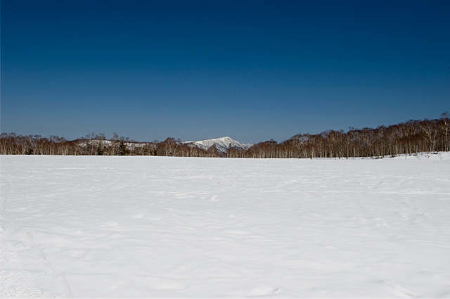 b0085526_12322091.jpg
