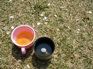 f0023329_1523550.jpg