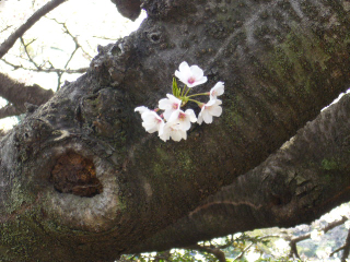 f0023329_15314877.jpg