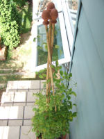 f0002534_19291367.jpg