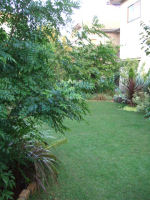 f0002534_19363871.jpg