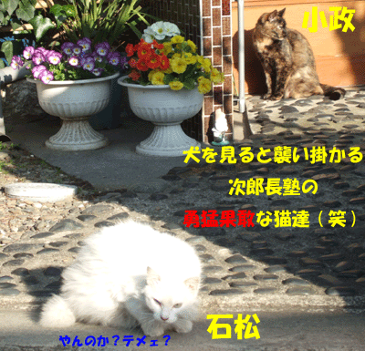f0008935_23351868.gif