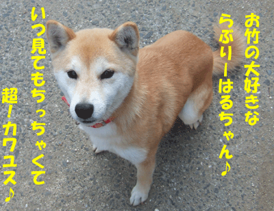 f0008935_23384692.gif