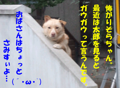 f0008935_23401575.gif