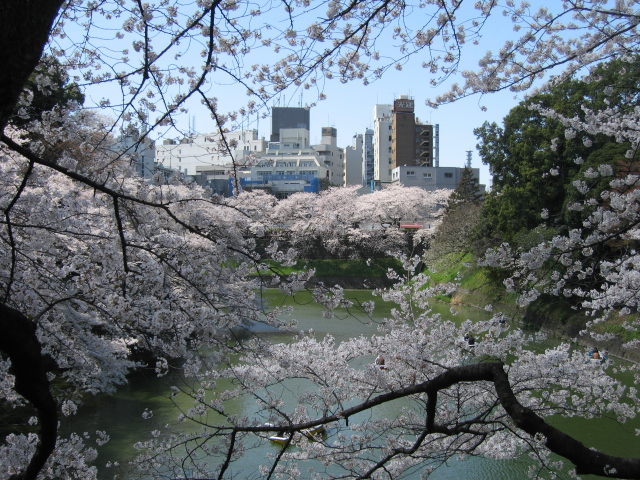 b0088037_7495933.jpg