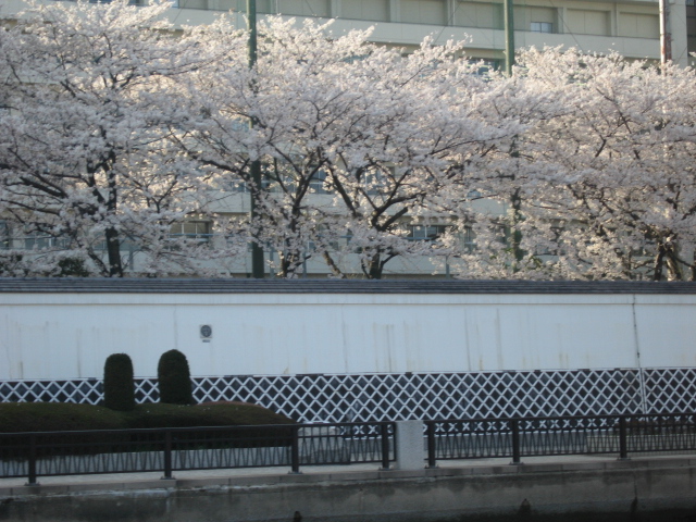 b0088037_7585716.jpg
