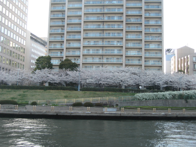 b0088037_801814.jpg